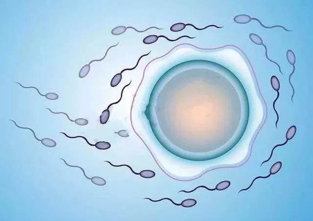 输卵管性不孕怎样自我检查