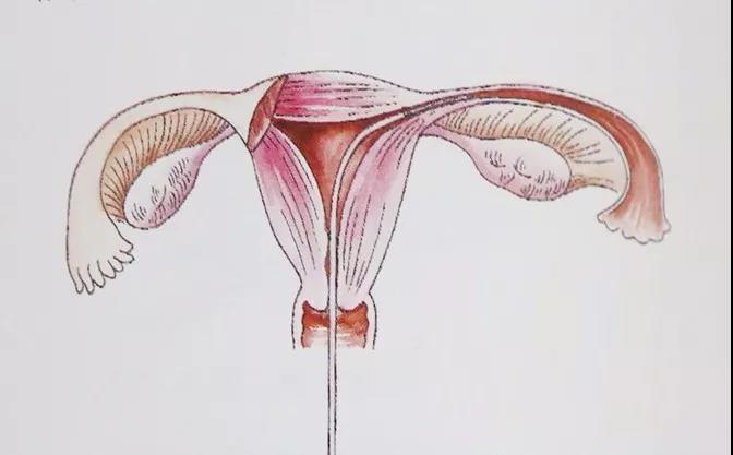 卵巢囊肿食疗方法有哪些