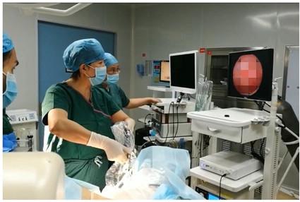 私家醫院終止懷孕收費最平