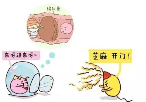 女性出现不排卵的原因是什么