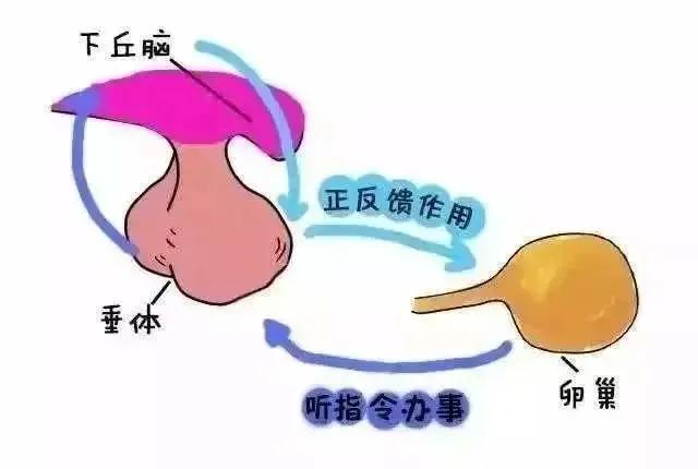 为什么男性会内分泌异常