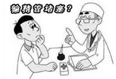 输精管堵塞.jpg